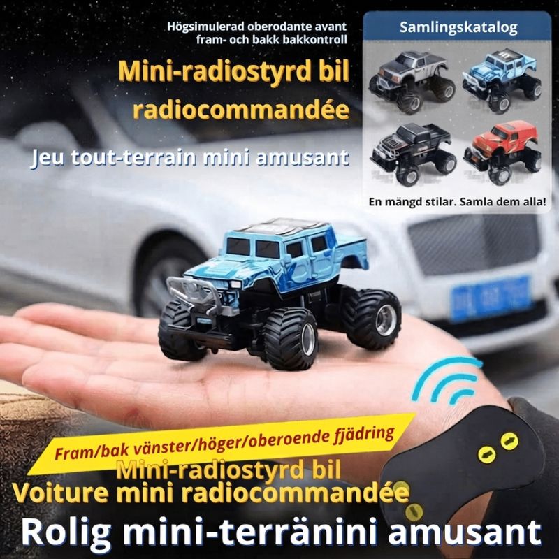 Radiostyrd liten bil som låter lite Radiostyrd Bil® 