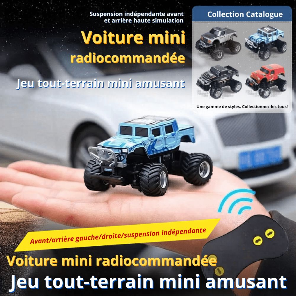 Radiostyrd liten bil som låter lite Radiostyrd Bil® 